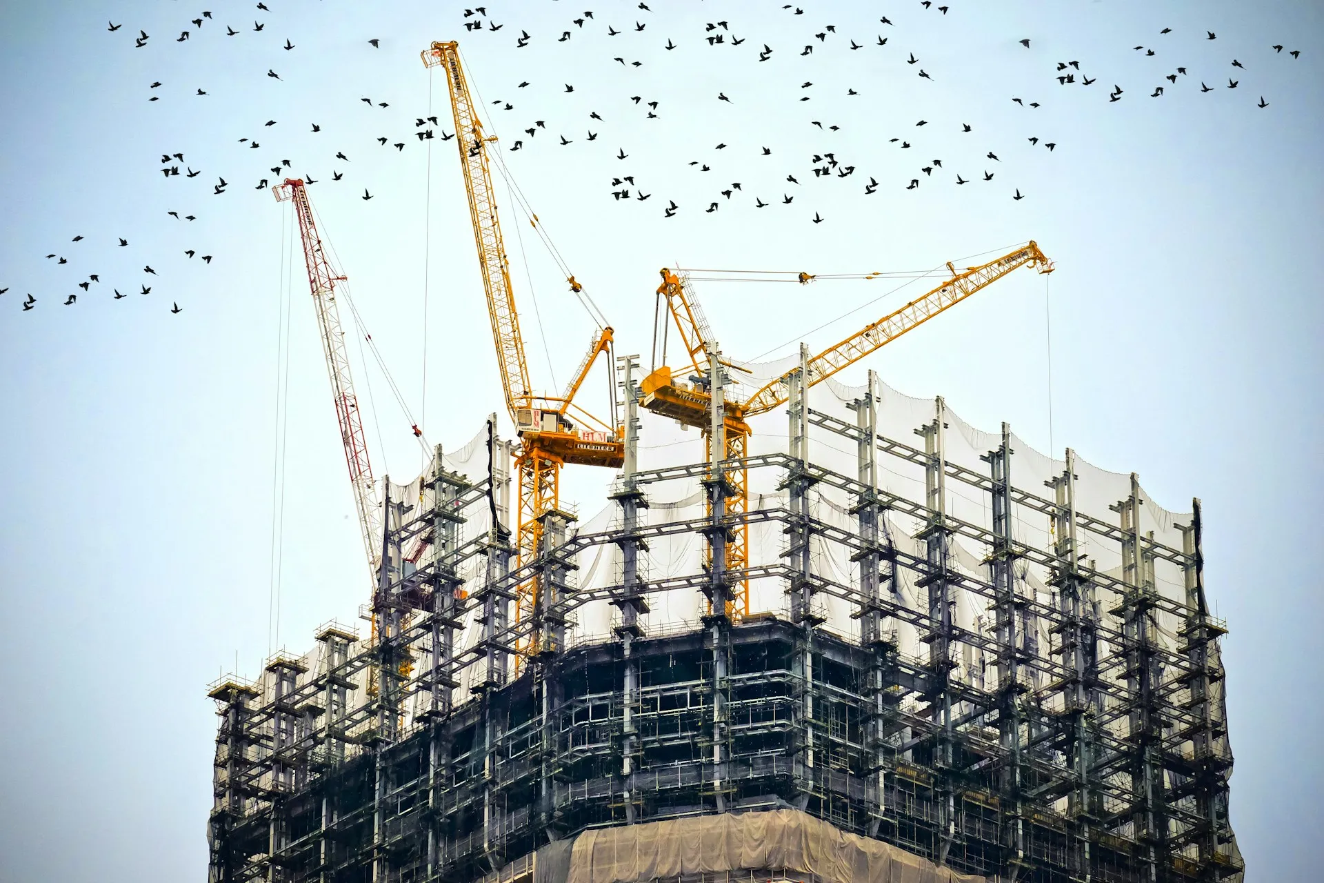 Hochbaukräne über realisierten Gewerbebauten
